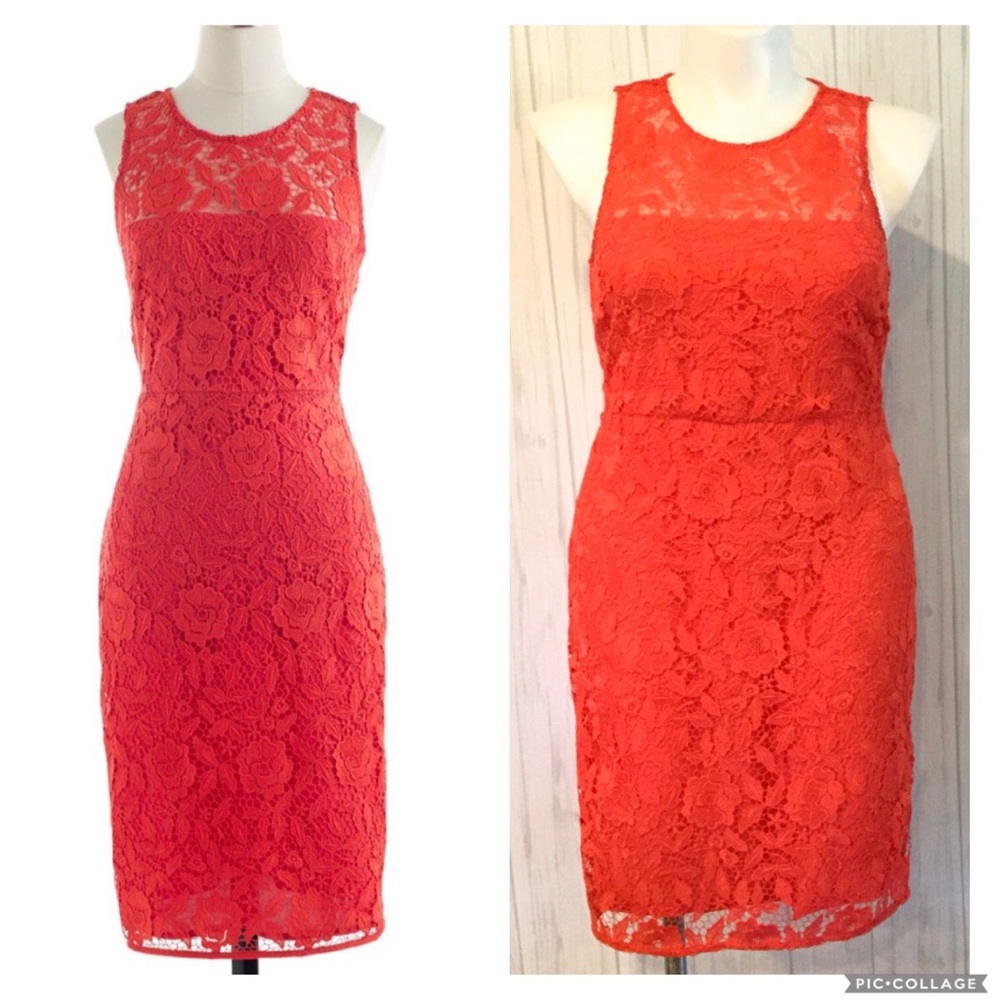 J. Crew Collection Poppy Red Lace Sheath Dress 12